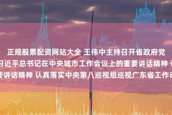 正规股票配资网站大全 王伟中主持召开省政府党组会议 深入学习贯彻习近平总书记在中央城市工作会议上的重要讲话精神 认真落实中央第八巡视组巡视广东省工作动员会部署要求