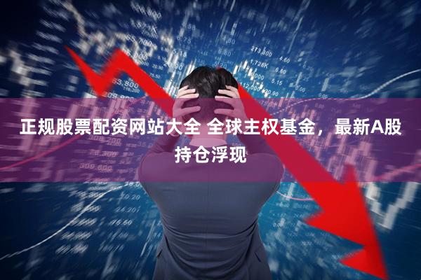 正规股票配资网站大全 全球主权基金，最新A股持仓浮现